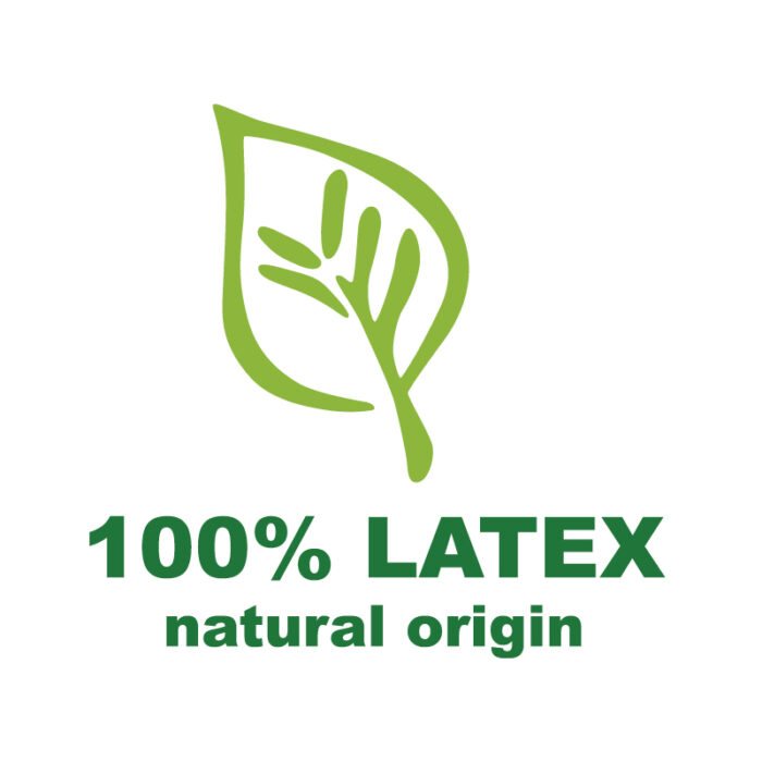 LATTICE logo 100 LATEX